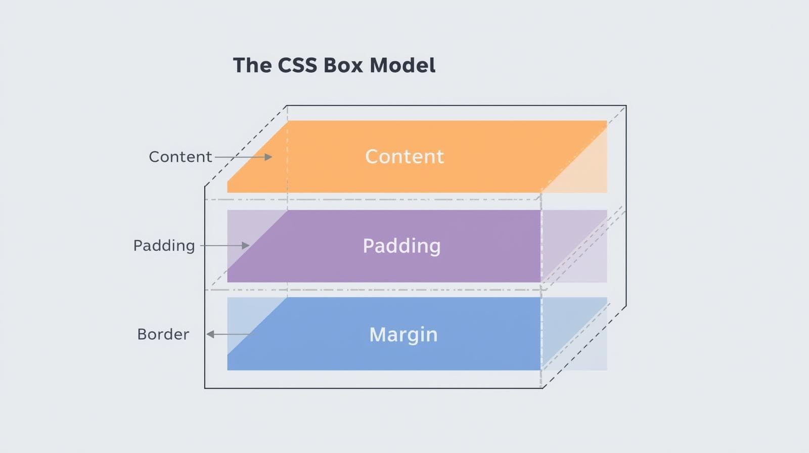 The CSS Box Model Explained: Stop Fighting Your Layouts